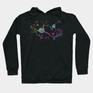 Neurons and nervous system Hoodie